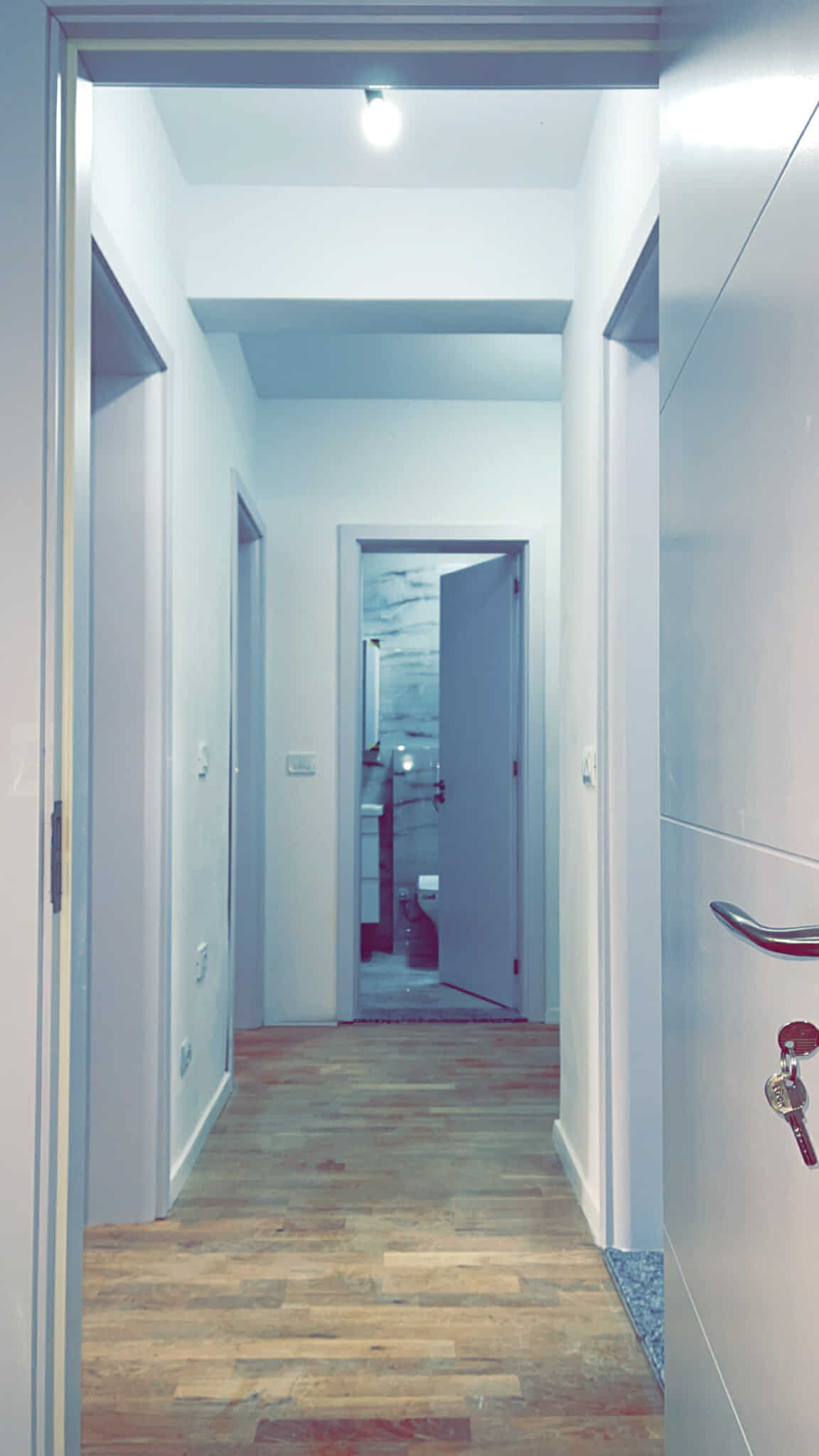 Viber Image 2025 03 11 14 32 38 442