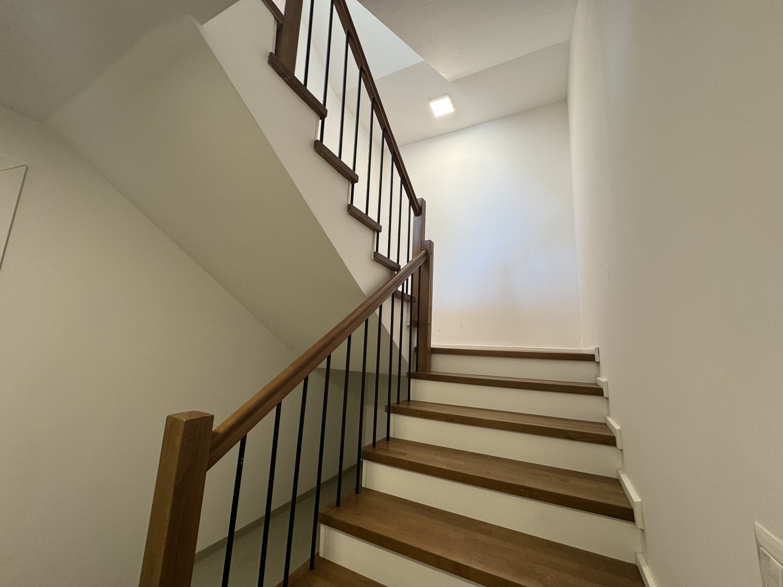 Viber image 2025 03 21 15 37 58 752