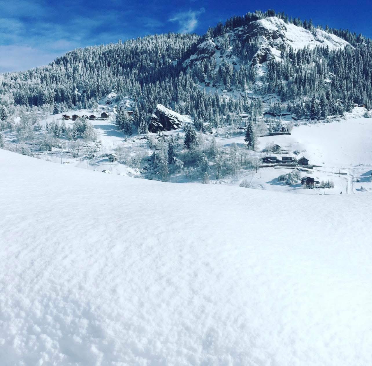 Viber image 2025 03 26 11 15 46 056