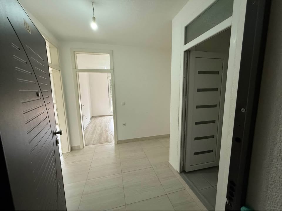 488837254 1714993319226113 1551562278238948718 n