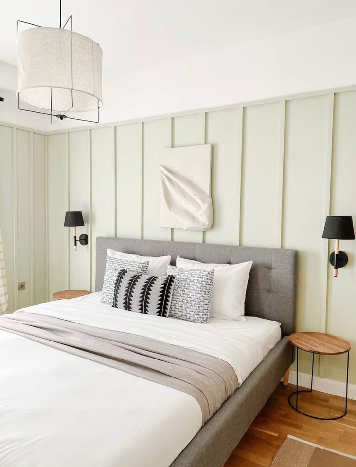 490994441 1756745258519977 9093904168428812779 n