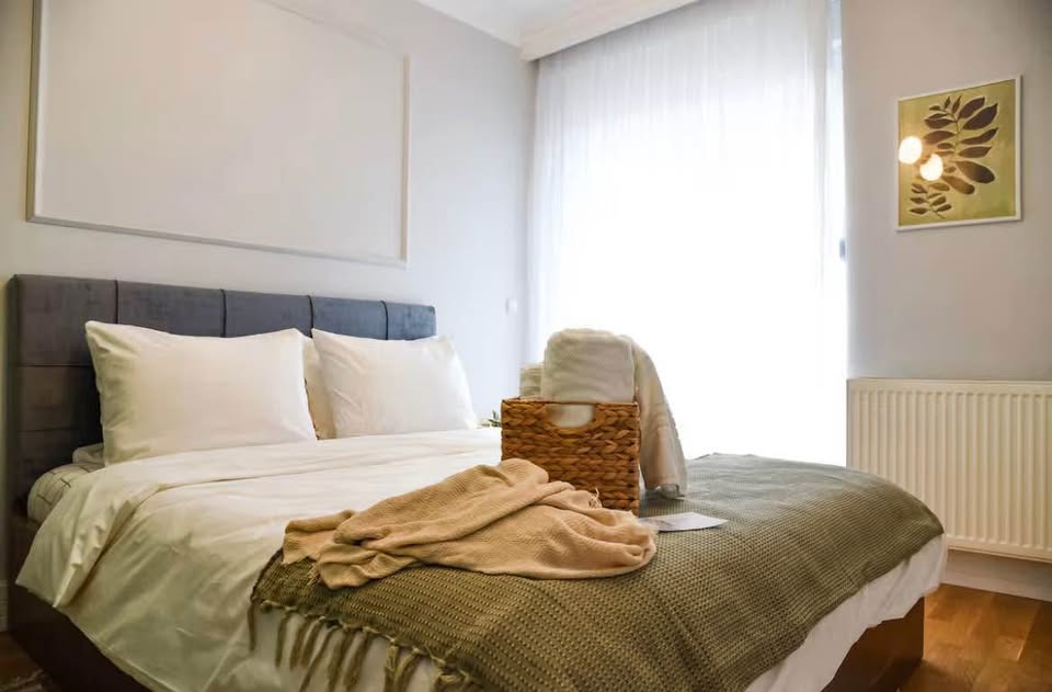 491750574 686741733868900 9179077083953537737 n