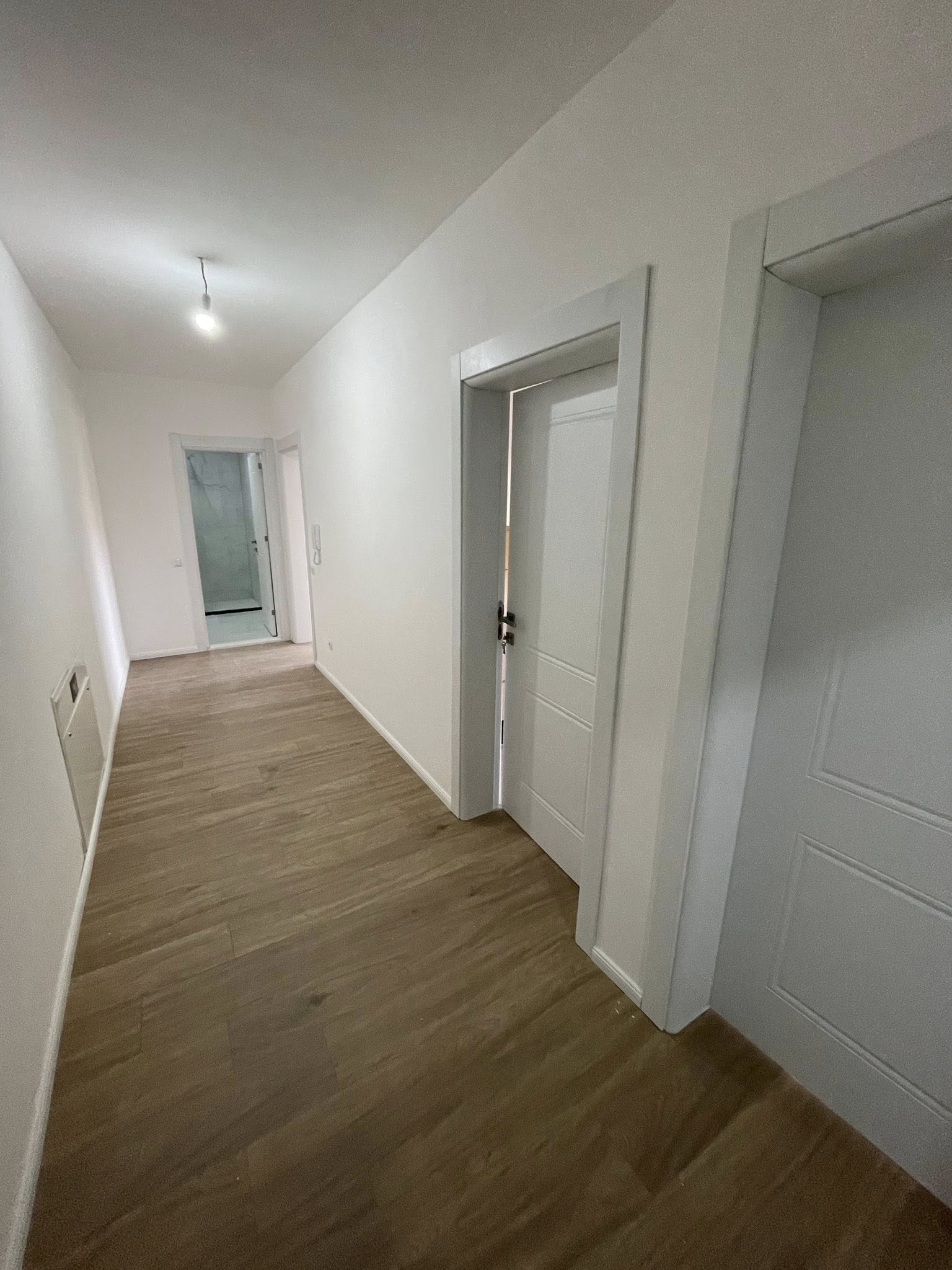 491803521 10236908744647191 3120504936373566887 n