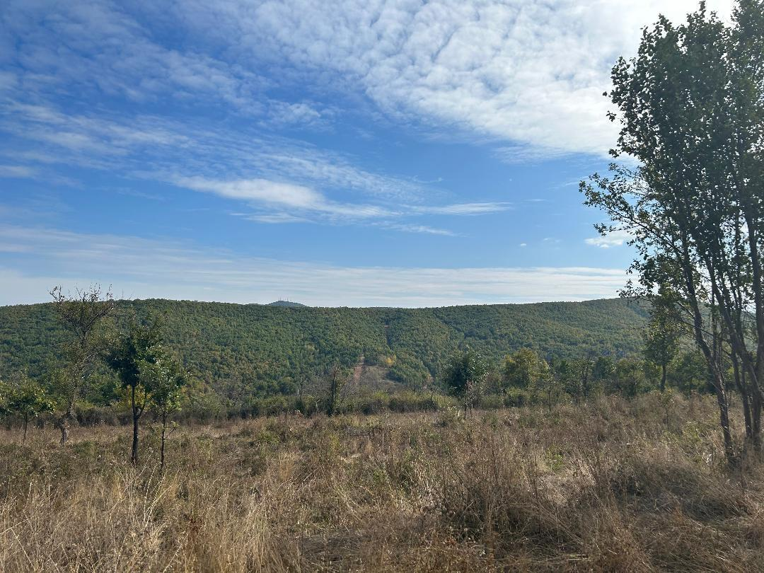 Viber image 2025 04 14 11 32 57 857