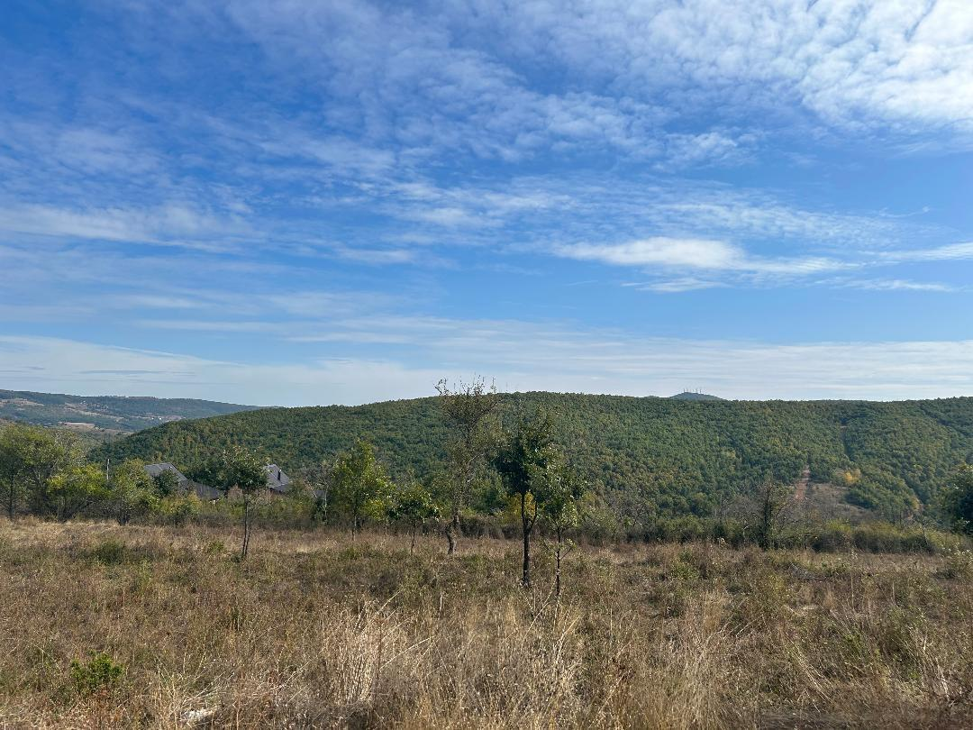 Viber image 2025 04 14 11 32 58 510