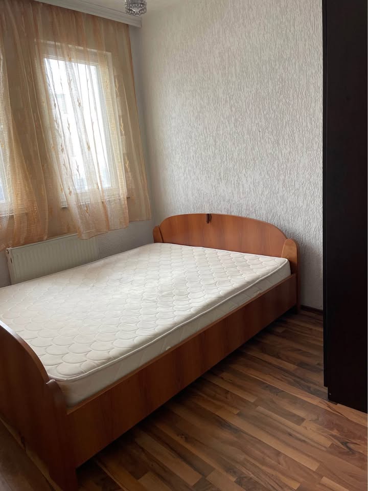 473204292 1135533021556443 2399381462757510694 n