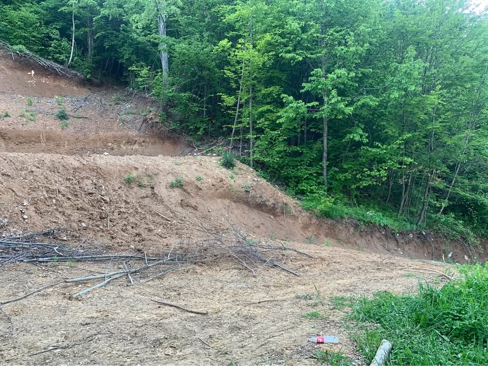 491774325 1237664774395369 4013567423554770166 n