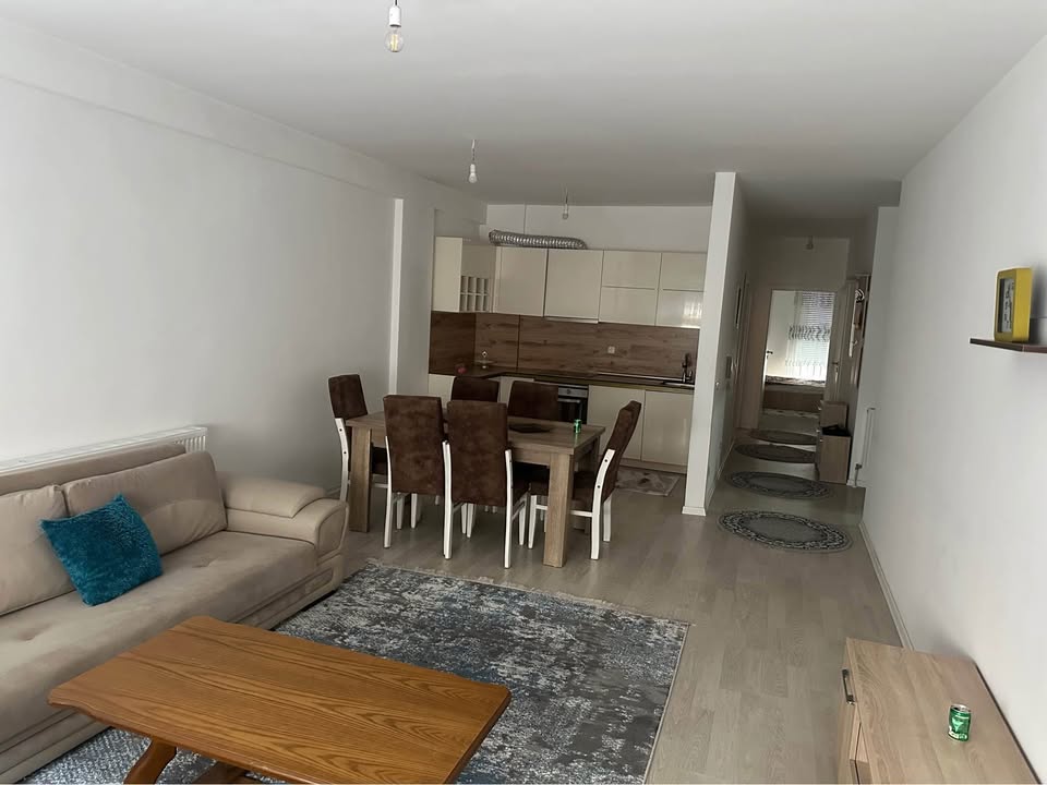 491885806 1316409746116696 1947863499853104175 n