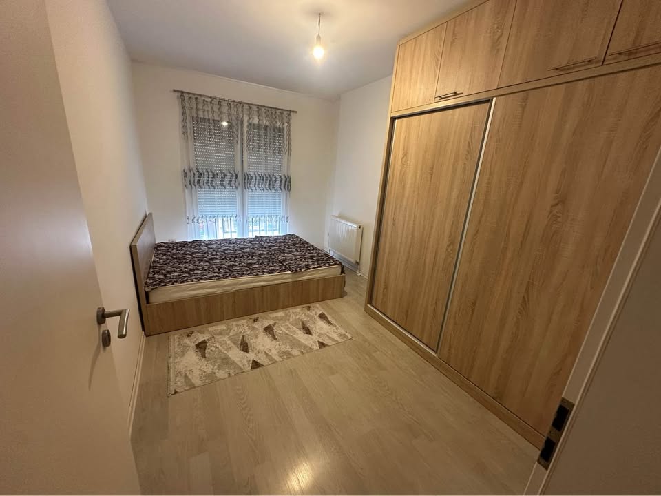 491887899 1154607419772063 2022143587067582030 n