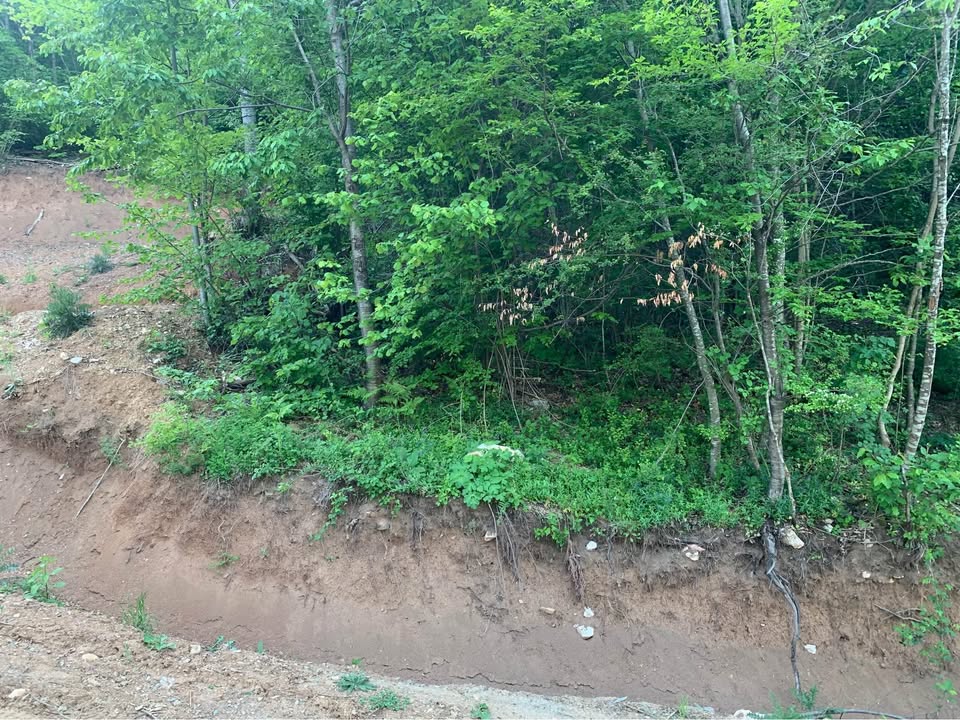 495091048 1454179085935094 7533107200290230587 n