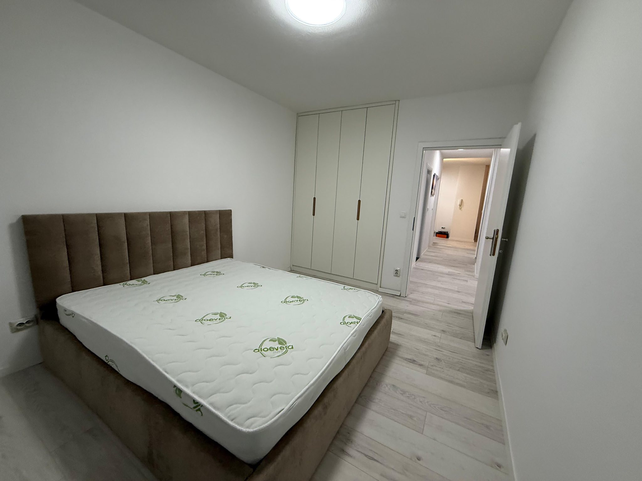 495178805 4020720198208190 1373603468837298566 n