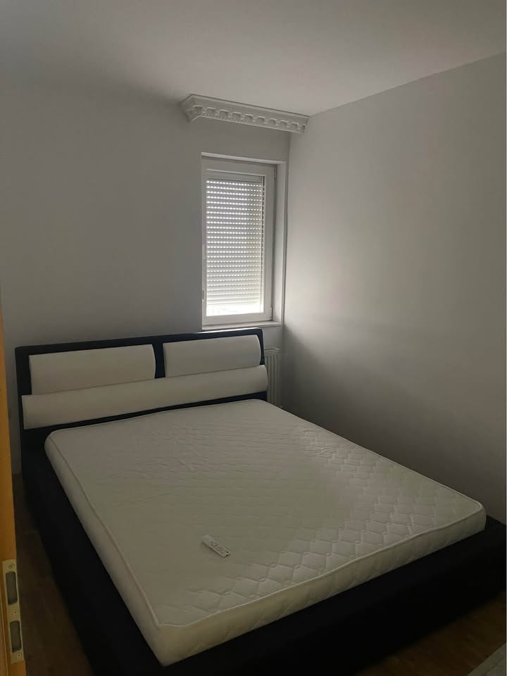 495226554 1686383618914549 8845274261144546676 n