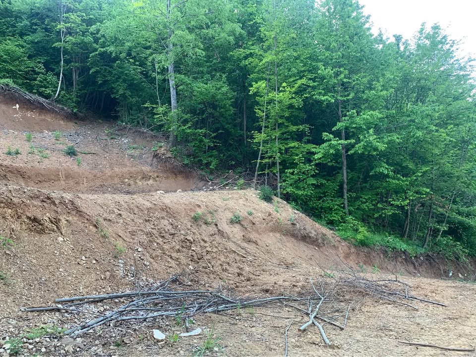 495729829 1017227040383042 4420890729009479463 n