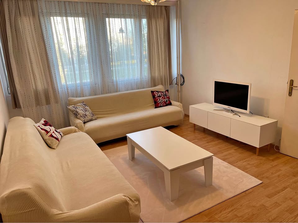 495743253 1623269581665814 3153115050365324639 n