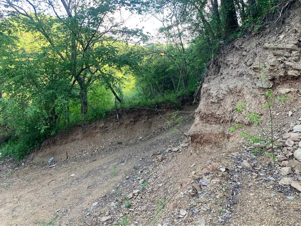 495895637 677565058485917 7103357063228526709 n