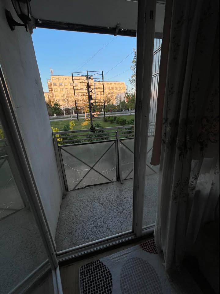 496707774 659054853662240 290193882348824004 n