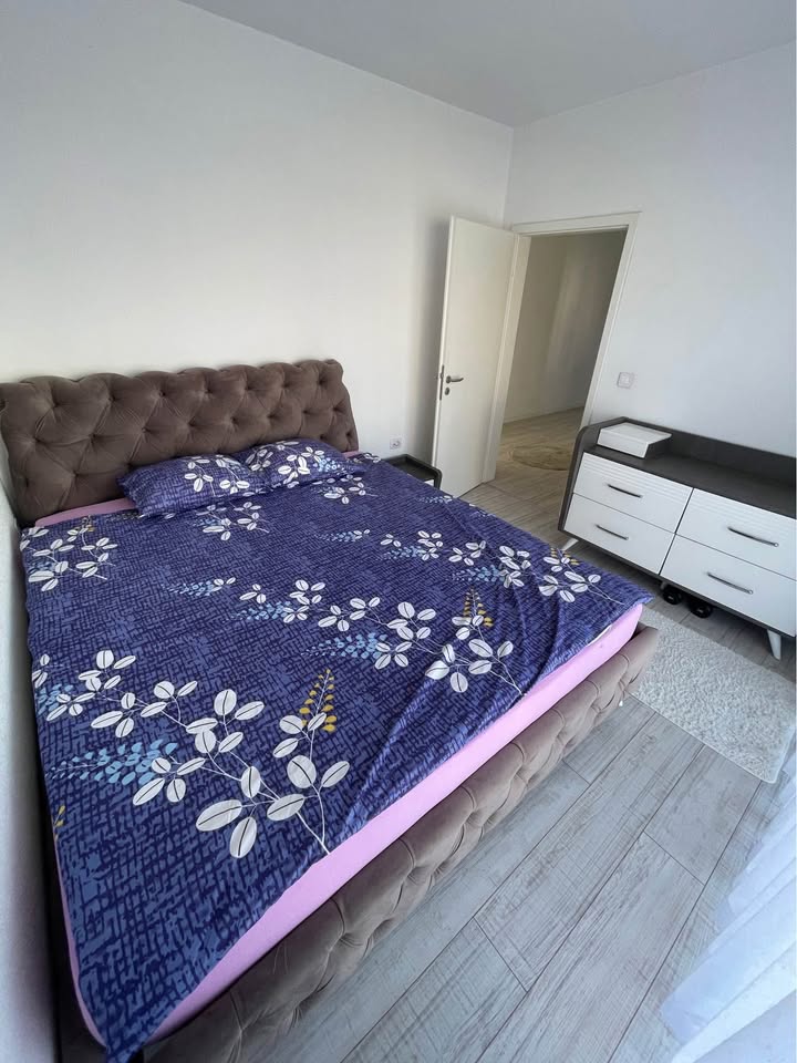 496785103 690888500154725 3955289234234516560 n