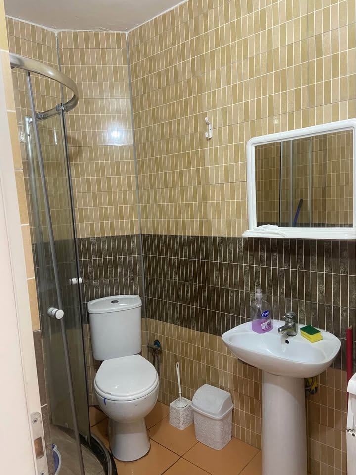 501405342 1225583535621388 4457801703656853127 n