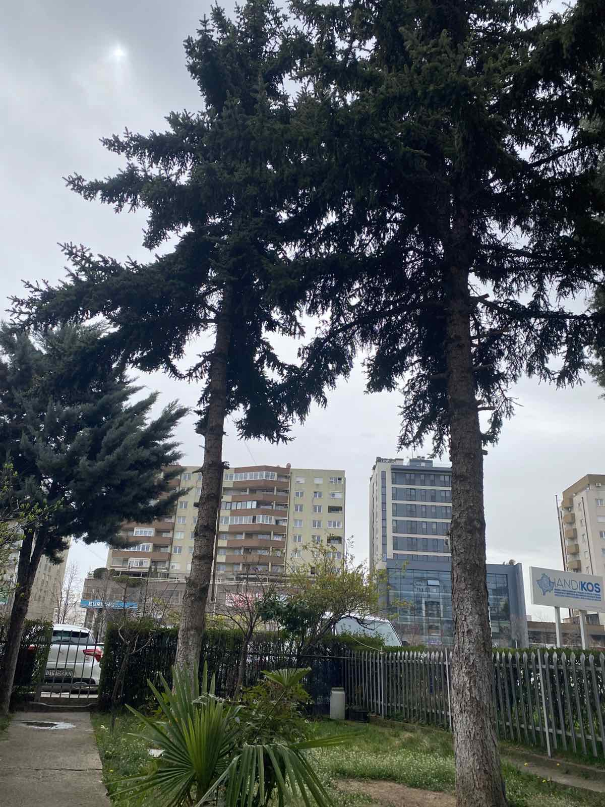 Viber image 2025 05 05 10 52 10 306