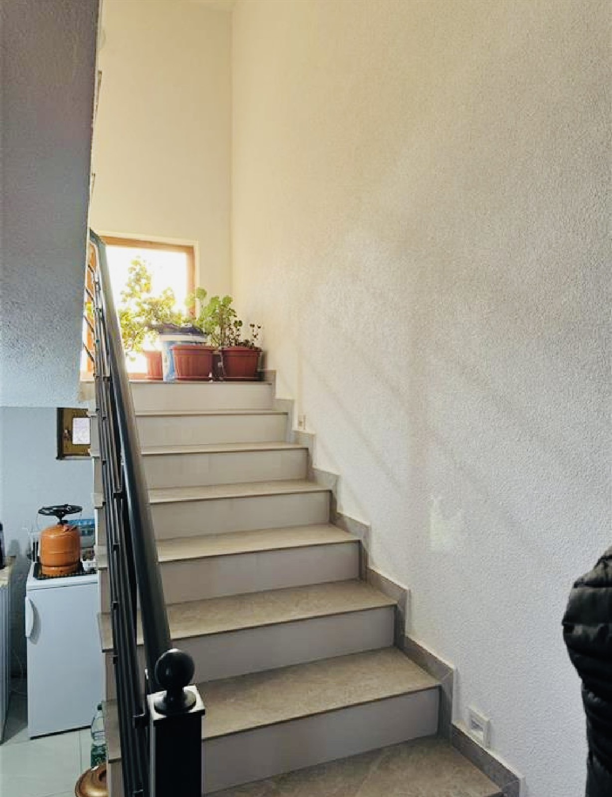 Viber image 2025 05 05 13 20 25 803