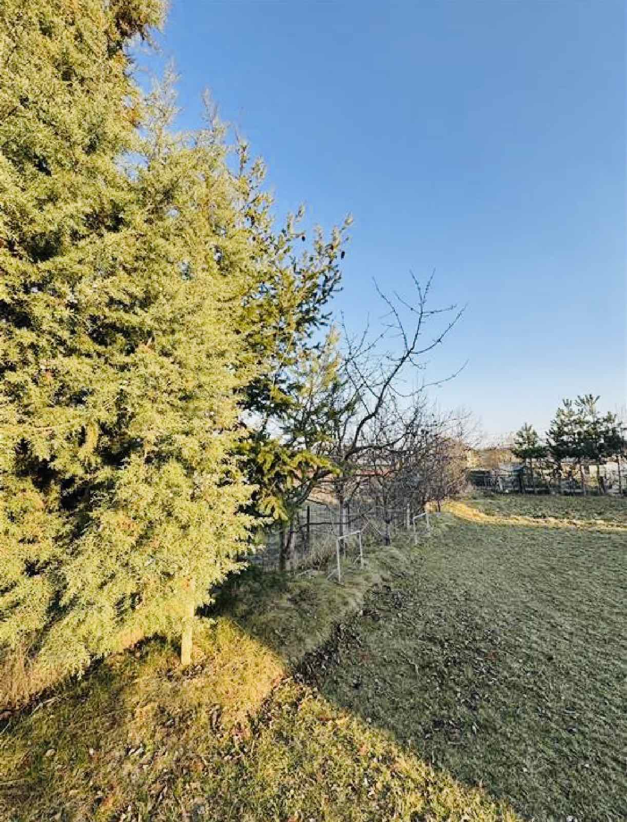 Viber image 2025 05 05 13 20 26 130