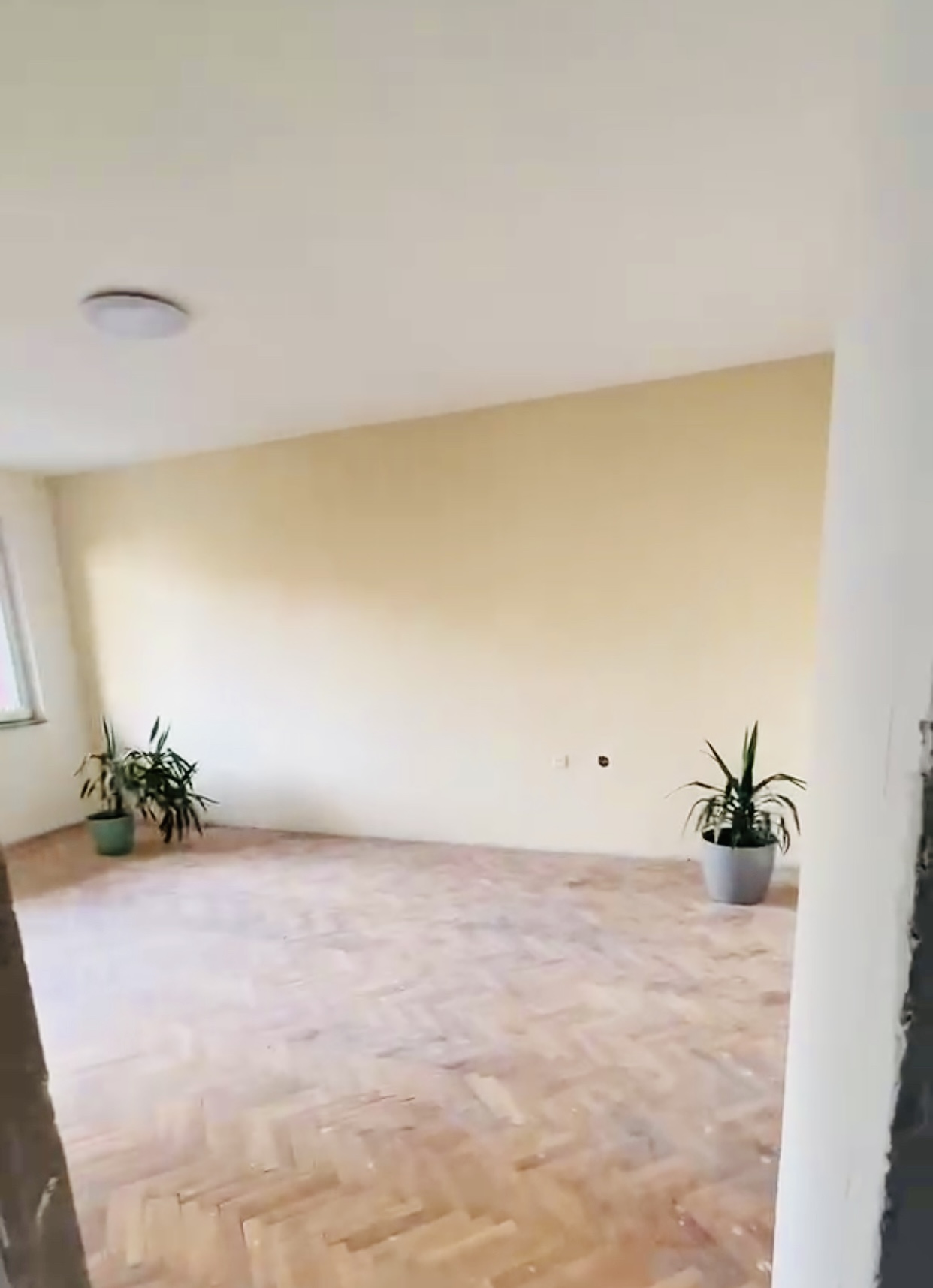 Viber image 2025 05 07 09 58 45 824