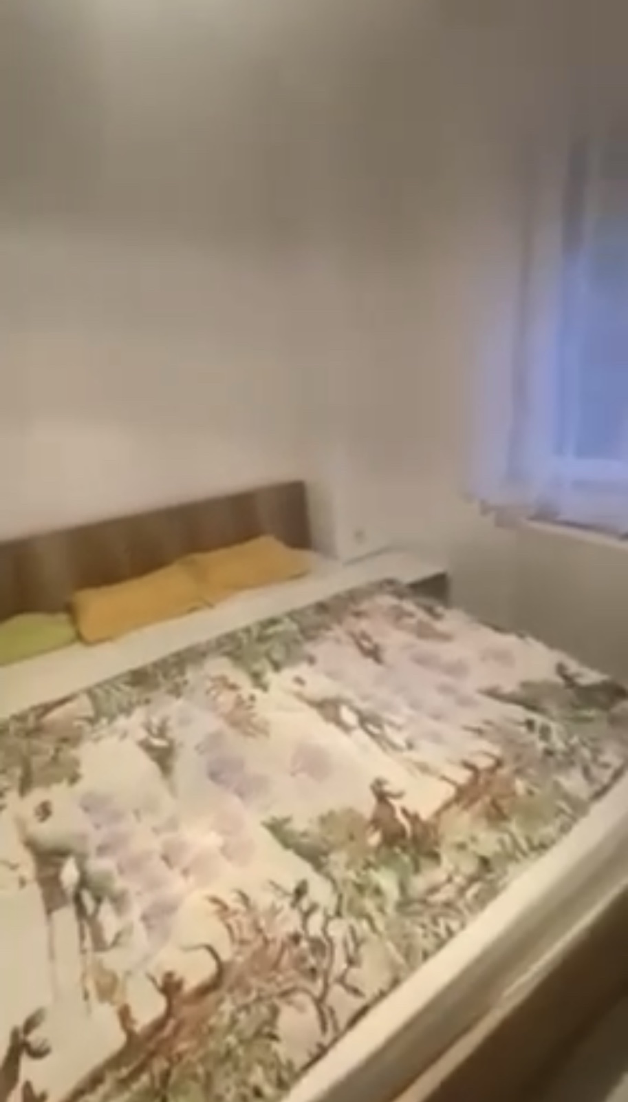 Viber image 2025 05 19 14 12 46 526