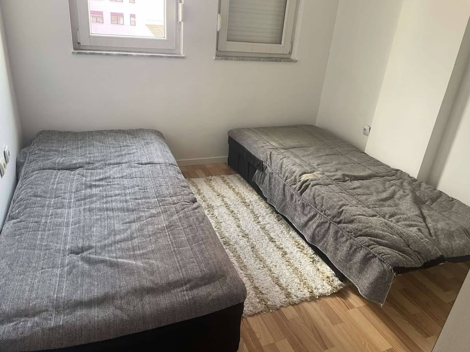 494379461 10238351042293775 4839446280878577499 n