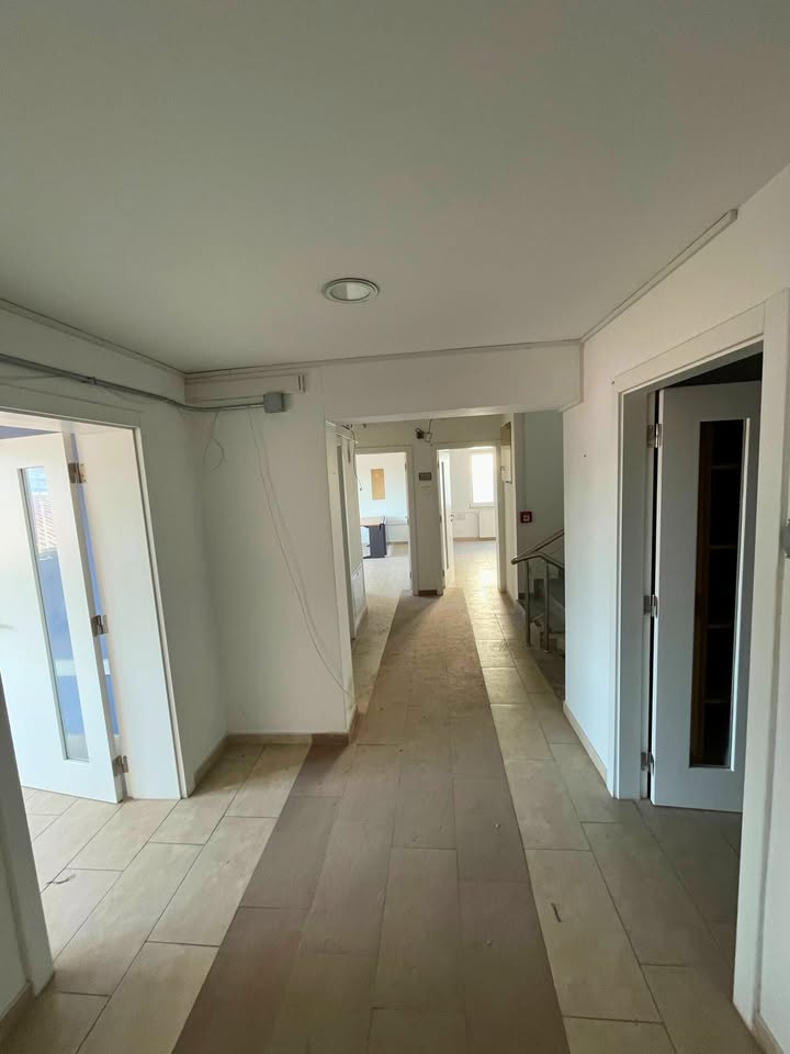 501135416 1351515005905444 8737442628732122635 n