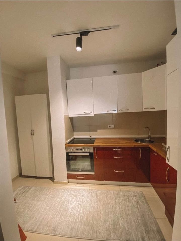 502404323 1426129145501727 7871074424651947695 n