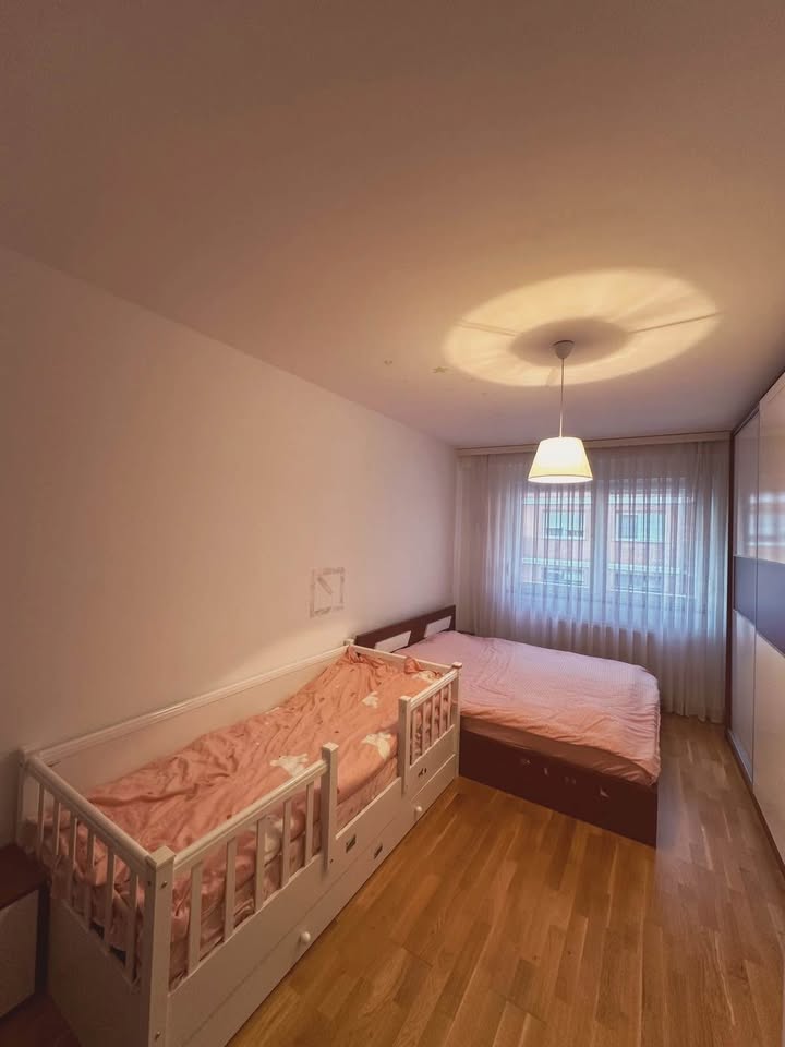 503251395 1260216092136891 8112206391728589845 n