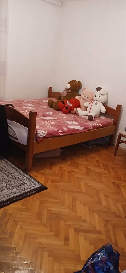 505757775 1862203924563792 3074042248338862765 n