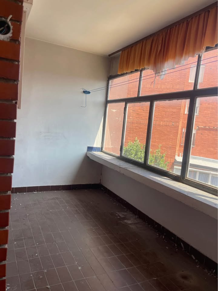 513060564 1020917900211417 4716229659737385040 n