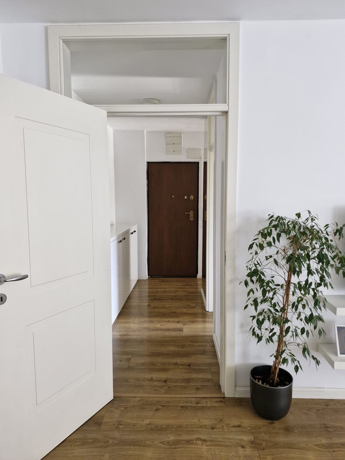 Viber image 2025 06 17 10 26 07 501