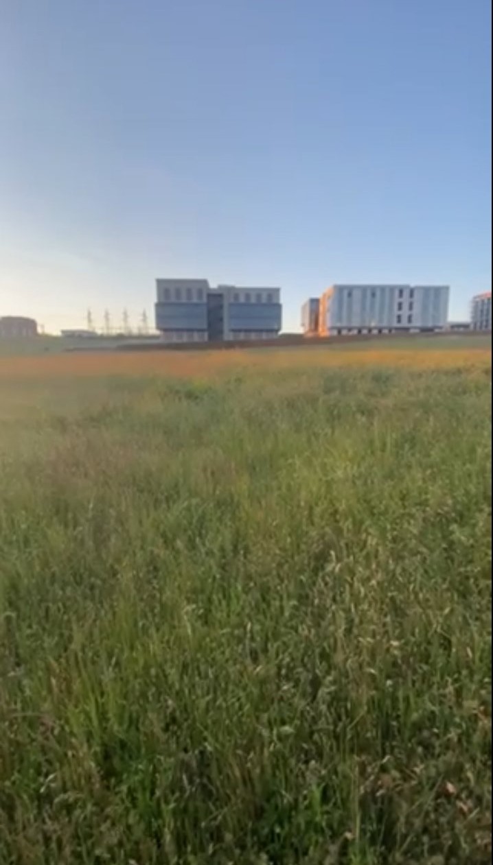 Viber image 2025 06 26 15 56 20 047