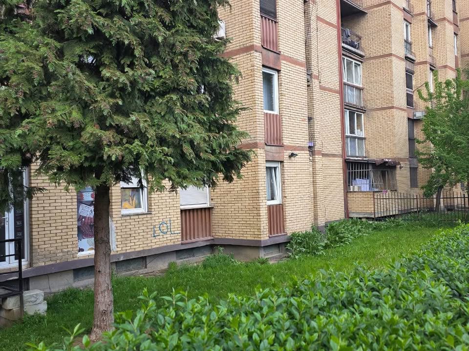 511684208 1273021631198437 9050513555011975851 n