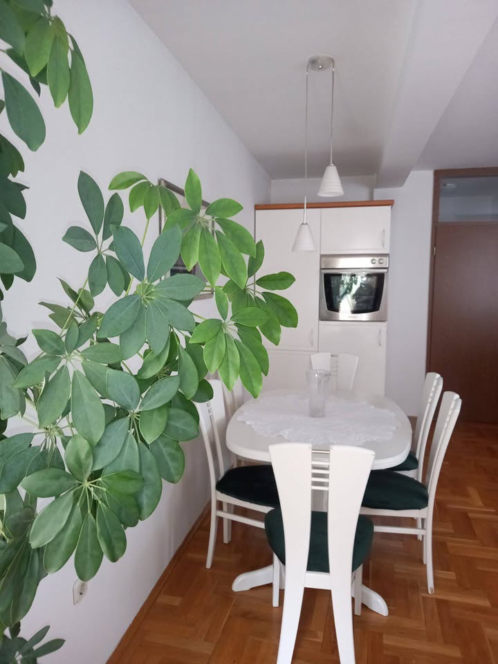 514371398 10228163168480570 7316552906503260231 n