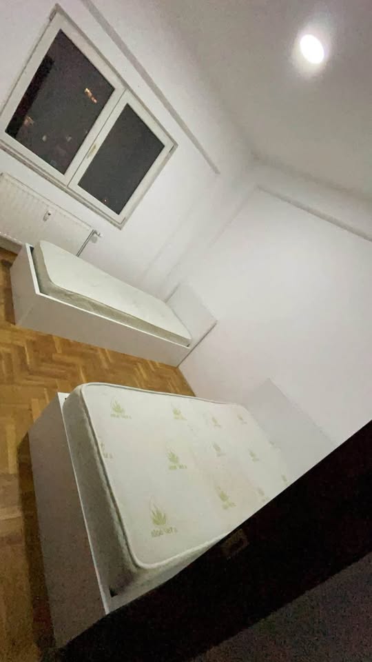 514623596 733895709041671 4057293488787238792 n