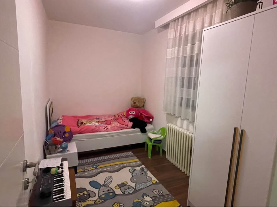 519640539 715421404799330 6218066911944095454 n