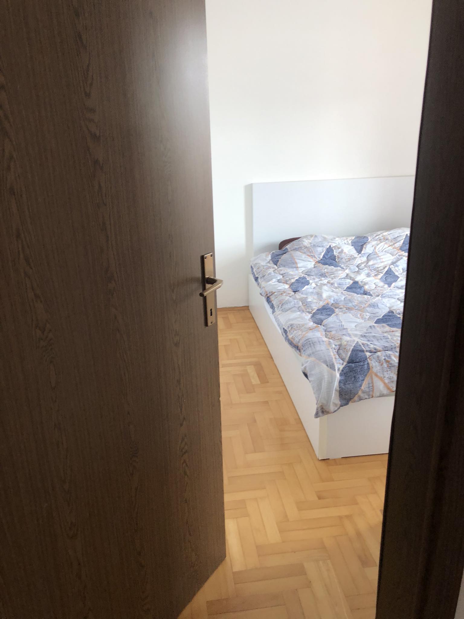 519669296 1360366611696315 1518406279883509617 n