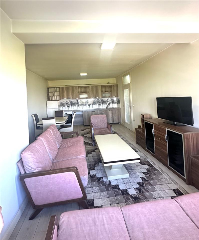 Leshohet banesa me qira ne bret te diellit (4)