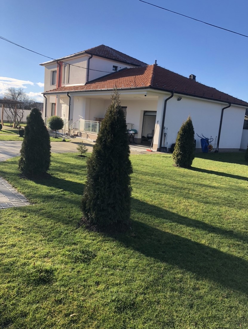 Viber image 2025 07 23 12 45 46 068