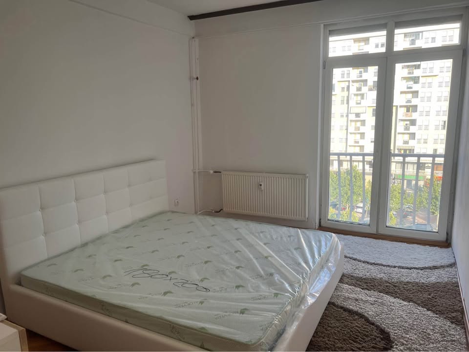 489373181 787548713748667 1740759270905664347 n