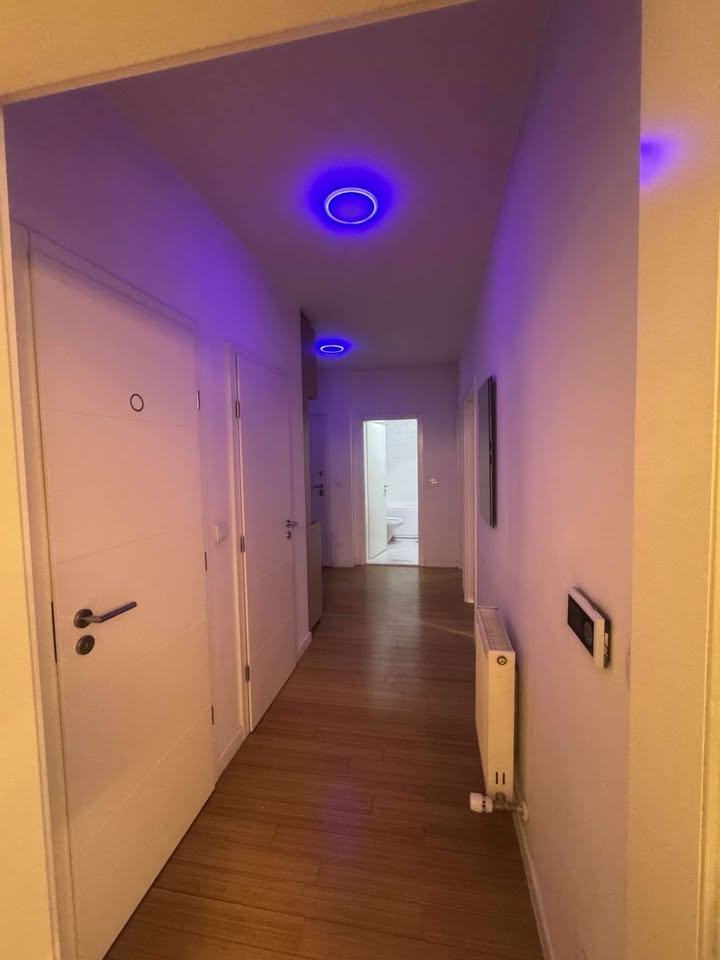 520647271 1146585584168688 433041942809997113 n