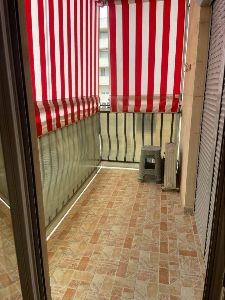 526668067 1292968102533194 8396852848042109409 n