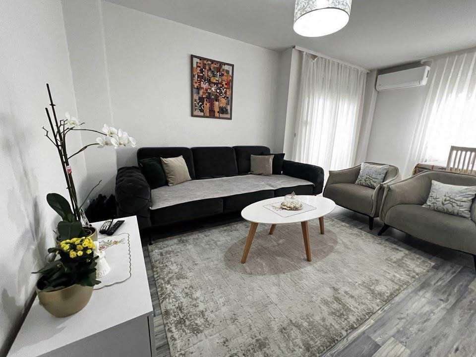 527608256 3238121166345413 3710930506905256542 n