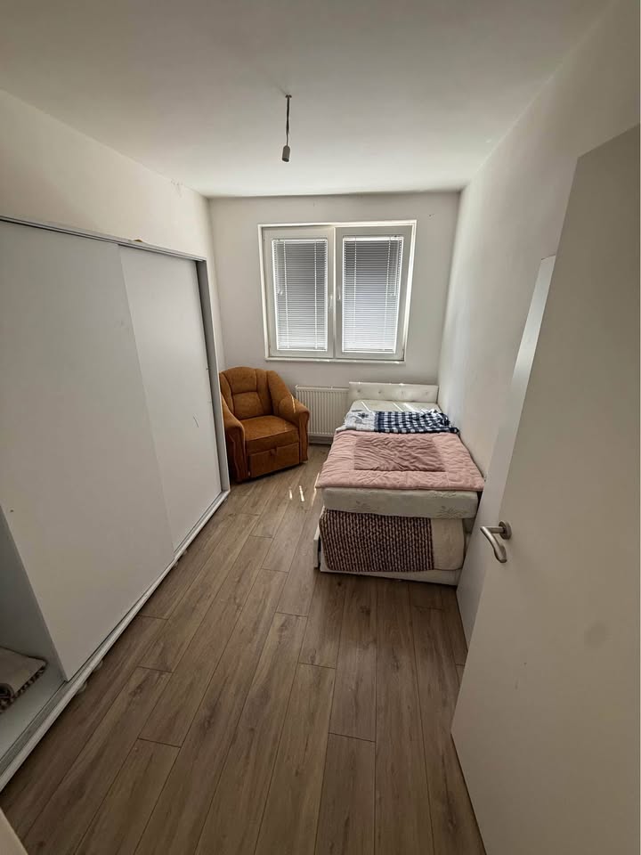 528251714 3262169367274279 6914004745370072 n