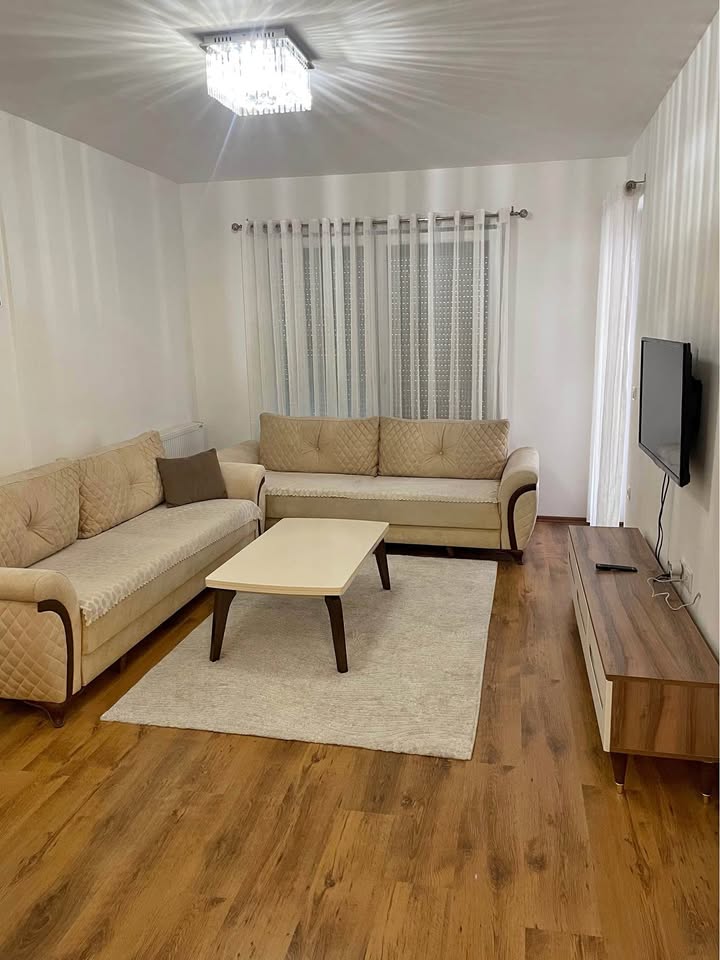 529366497 1550989335877004 2050707586351642123 n