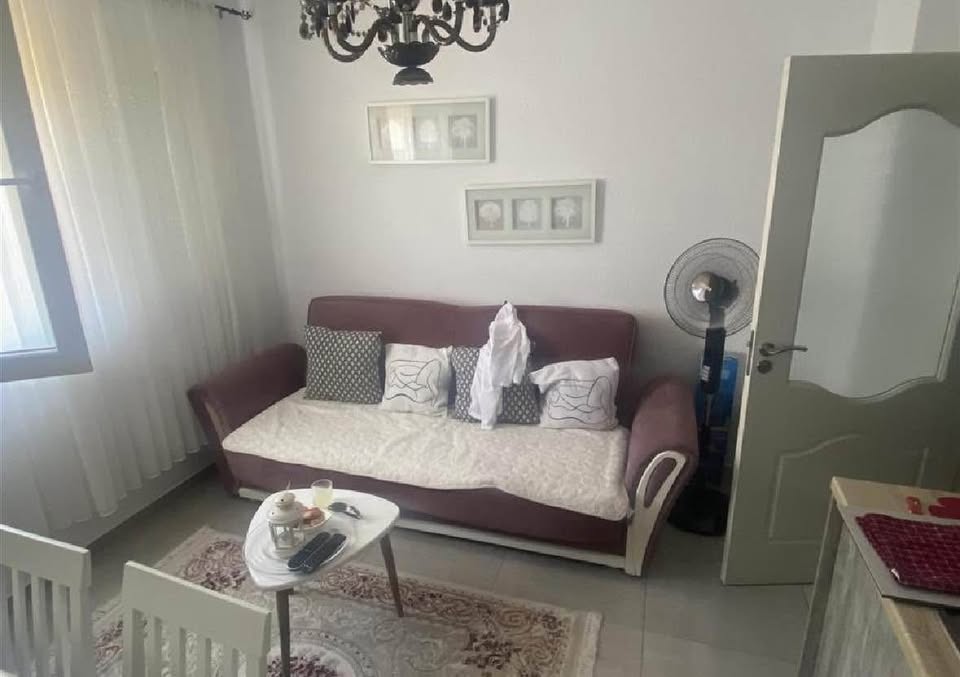 529631482 24694831376769231 1862570290462358097 n