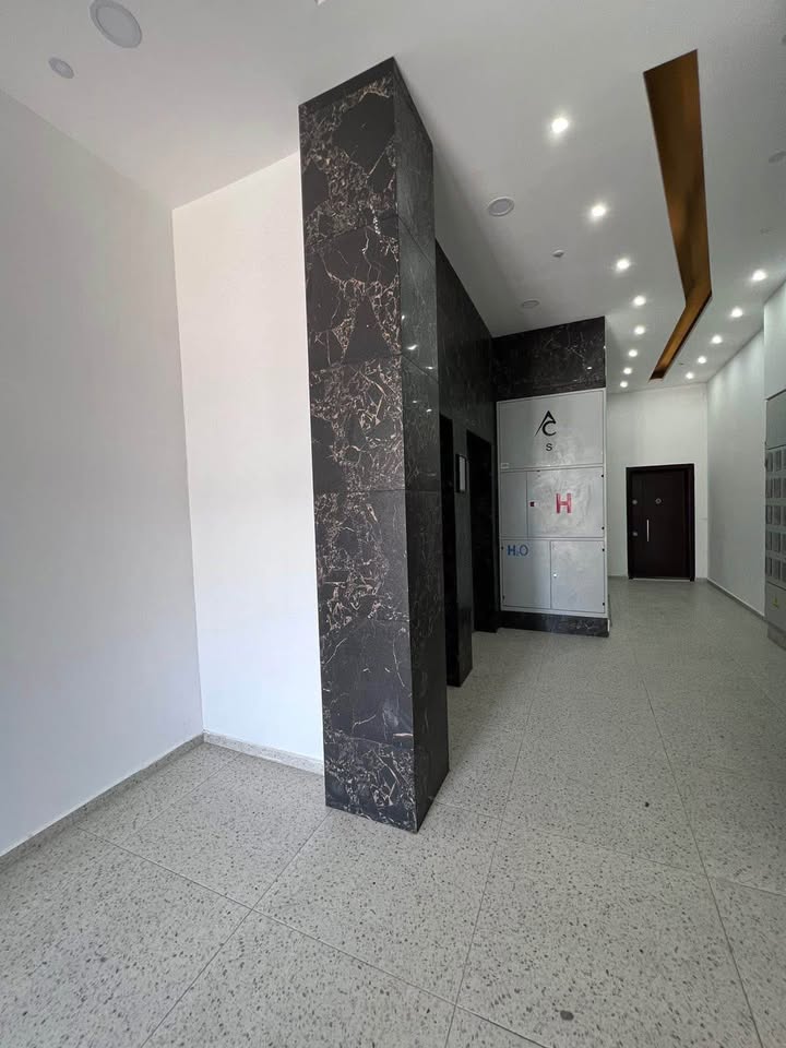 530733768 1486752972669569 4626344117515420379 n